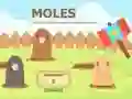 Leikur Mole A Whack á netinu