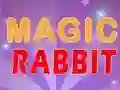 Leikur Magic Rabbit á netinu