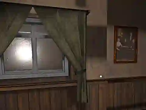Leikur Hide and Seek Pro á netinu