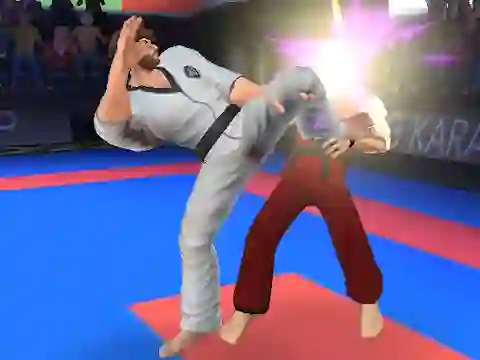 Leikur Karate Fighter á netinu