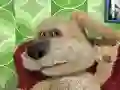 Leikur Talking Ben the Dog á netinu