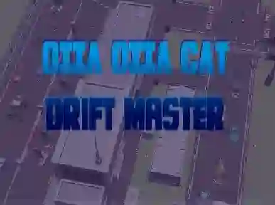 Leikur Oiia Oiia Cat Drift Master á netinu