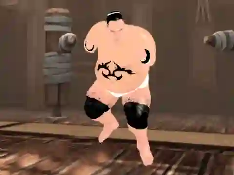 Leikur Sumo Fury á netinu