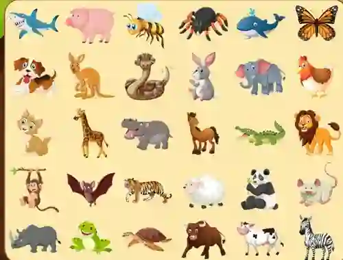 Leikur Discover Animals á netinu