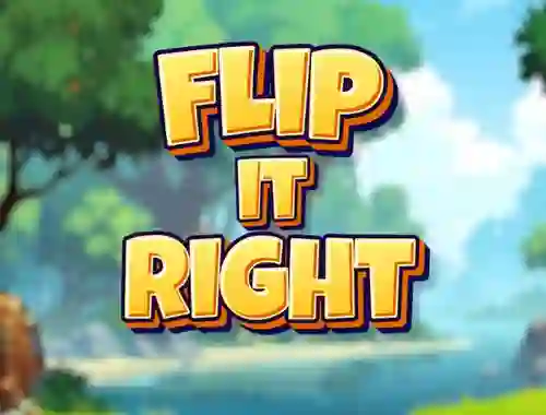 Leikur Flip It Right á netinu