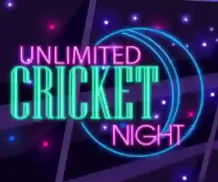 Leikur Unlimited Cricket Night á netinu