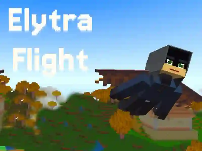 Leikur Elytra Flight á netinu