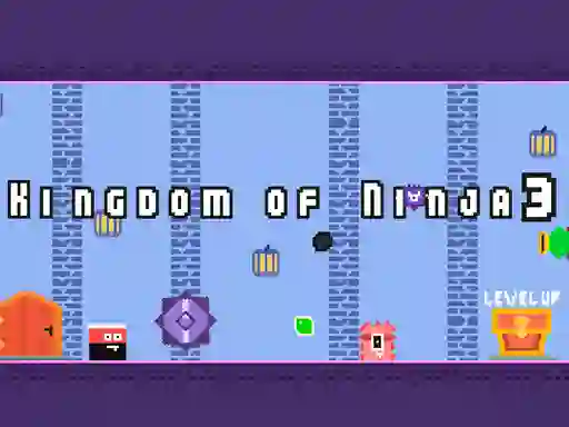 Leikur Kingdom of Ninja 3 á netinu