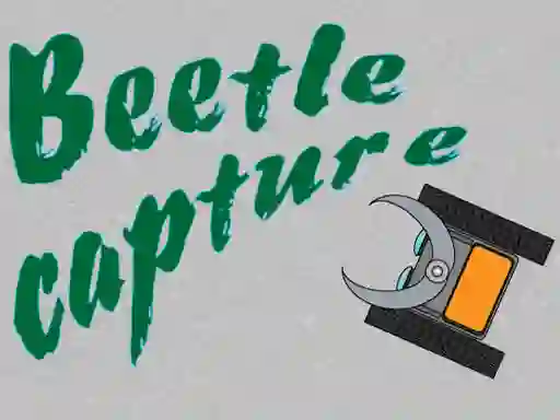 Leikur Beetle Capture á netinu