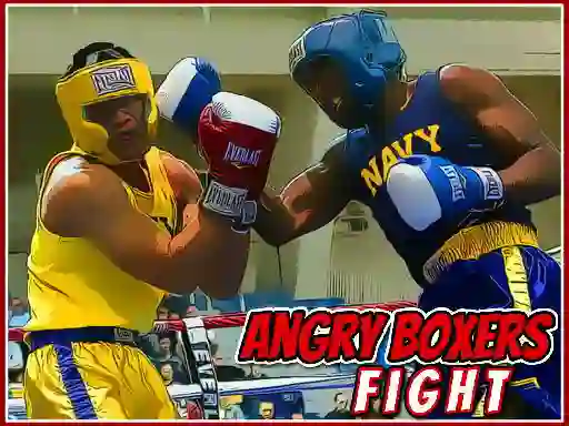 Leikur Angry Boxers Fight á netinu