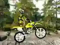 Leikur Trial Bike 2 á netinu