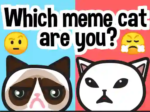 Leikur Which Meme Cat Are You? á netinu