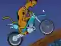 Leikur Scooby Doo Trail á netinu