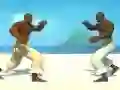 Leikur Capoeira fighter á netinu