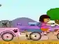 Leikur Dora Pet Shop á netinu