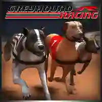 Leikur Greyhound Racing á netinu