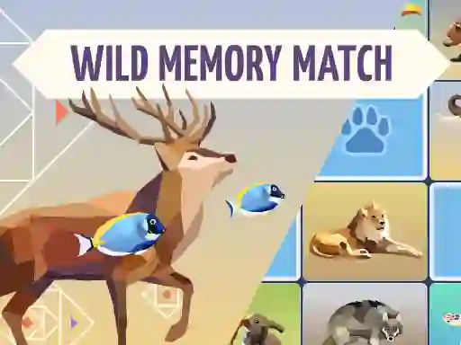 Leikur Wild Memory Match á netinu