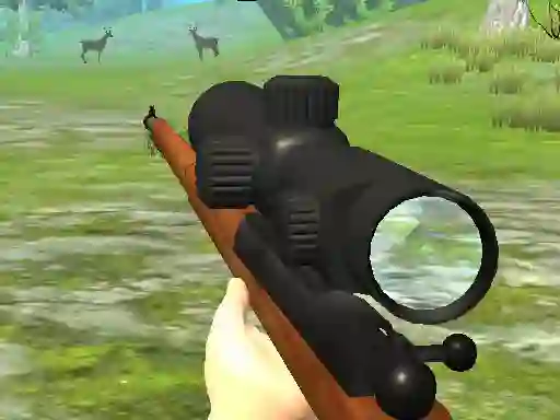 Leikur Hunter 3D á netinu