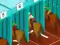 Leikur Derby racing á netinu
