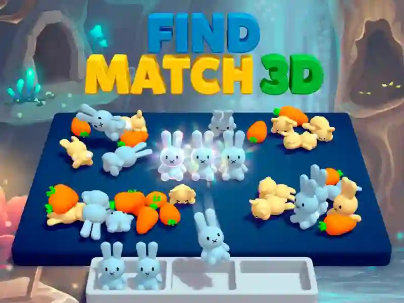 Leikur Find Match 3D á netinu