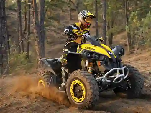 Leikur ATV Offroad Puzzle á netinu