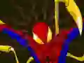 Leikur Spiderman Customization á netinu