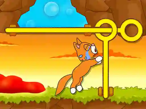 Leikur Save The Kitten á netinu
