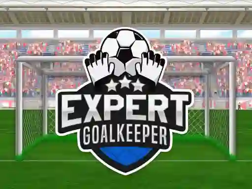 Leikur Expert Goalkeeper á netinu