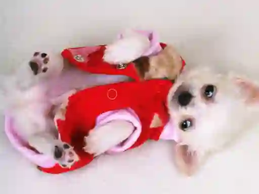 Leikur Lovely Puppy Slide á netinu