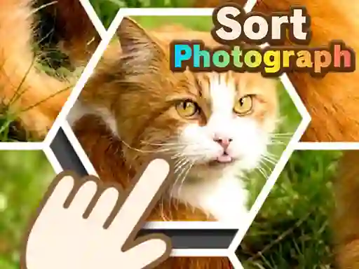 Leikur Sort Photograph á netinu