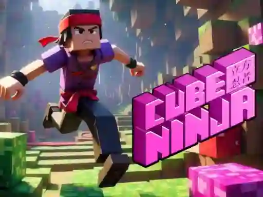 Leikur Cube Ninja á netinu