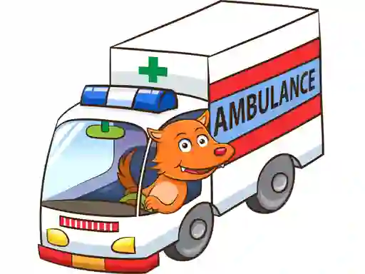 Leikur Cartoon Ambulance Puzzle á netinu