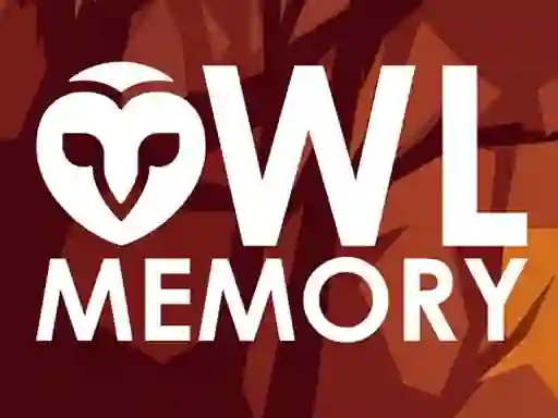 Leikur Owl Memory á netinu