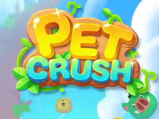 Leikur Pet Crush á netinu