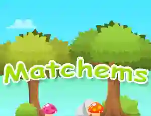 Leikur Matchems á netinu