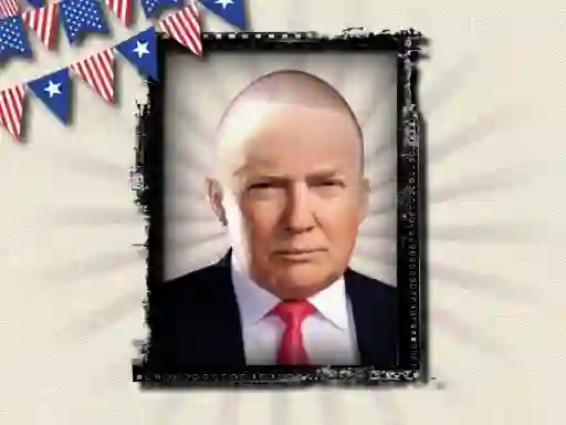 Leikur The President of the USA á netinu