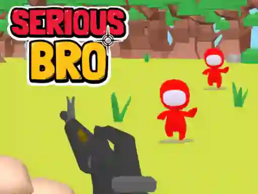 Leikur Serious Bro á netinu
