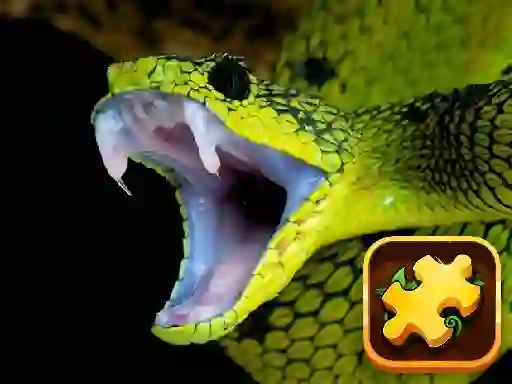 Leikur Snake Puzzle Challenge á netinu