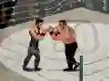 Leikur Smash Boxing á netinu
