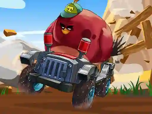 Leikur Crazy Birds Kart Hidden Stars á netinu