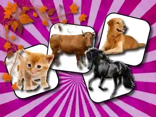Leikur Domestic Animal Memory Challenge á netinu