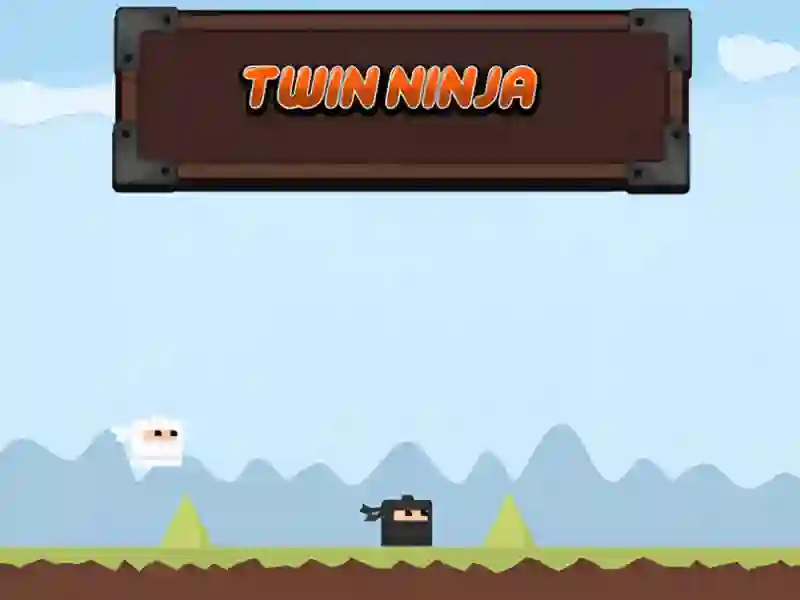 Leikur Twin Ninja á netinu