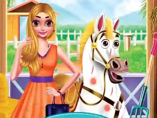 Leikur Princess Pet Treatment á netinu