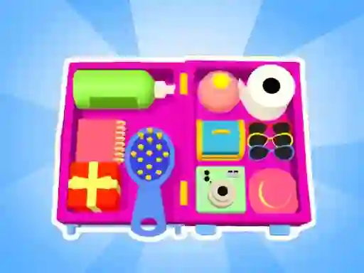 Leikur Organizer master á netinu