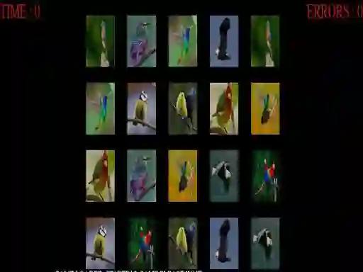 Leikur Memorize the birds á netinu