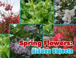 Leikur Spring Flowers: Hidden Objects á netinu