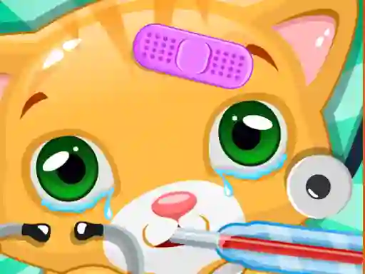 Leikur Little Cat Doctor á netinu