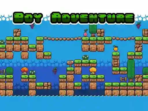 Leikur Boy Adventure á netinu
