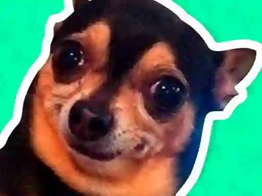 Leikur What meme dog are you ? á netinu