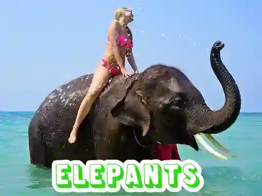 Leikur Elephants Puzzle á netinu